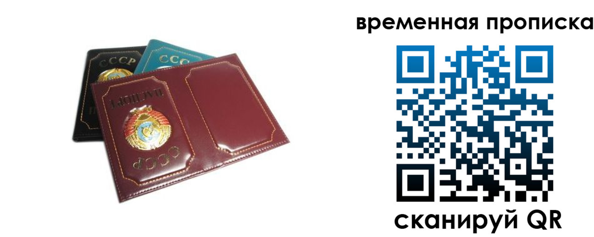 прописка 2025 в Губахе